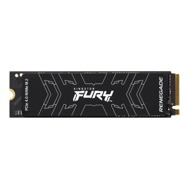 Kingston Fury Renegade M.2
