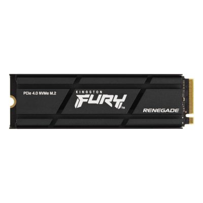 Kingston Fury Renegade with heatsink