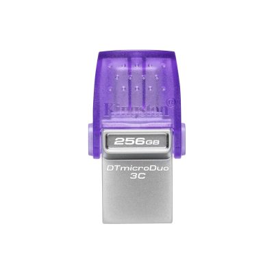 Kingston DTDUO 256GB