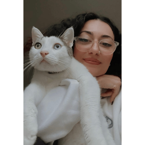 Zozzy